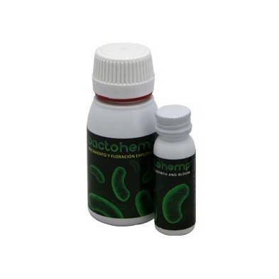 Bactohemp crecimiento Bactohemp crecimiento