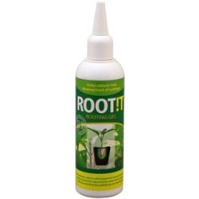 Root it para hacer esquejes