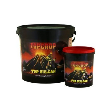 Botes Top Vulcan Botes Top Vulcan