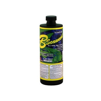 Garrafa de B. Seaweed Garrafa de B. Seaweed