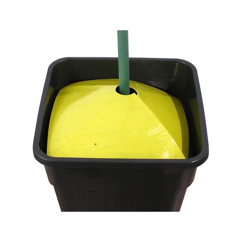 Trampas para insectos de suelo