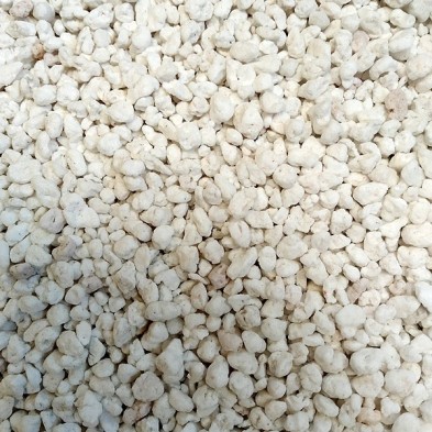 Perlita blanca Perlita blanca