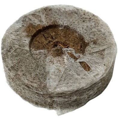 Jiffy7 de turba 24mm Jiffy7 de turba 24mm