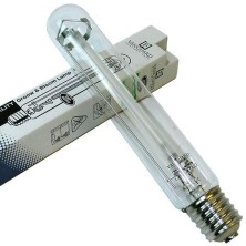 Vanguard Horti Max 600W Glühbirne
