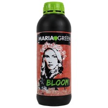 Bloom