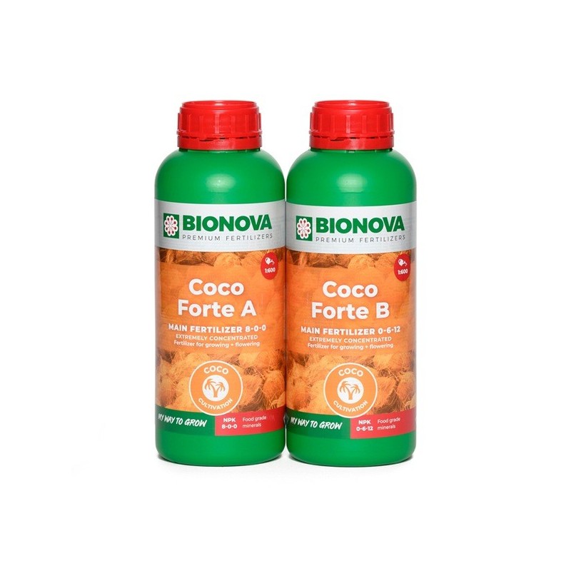 Garrafas de Coco Forte A + B
