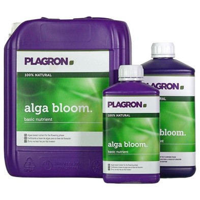 Alga Bloom Alga Bloom