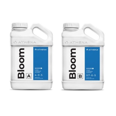 Athena Bloom A+B Athena Bloom A+B