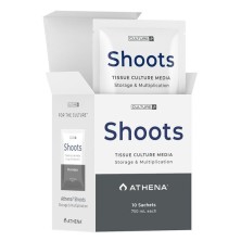 Athena Shoots Kulturmedien