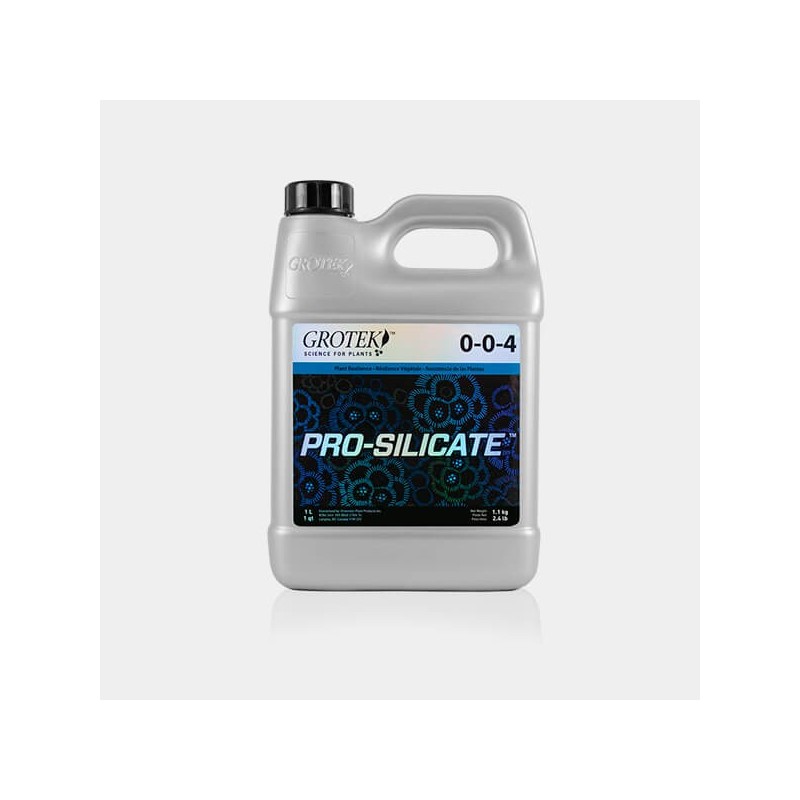 Pro-Silicate 1