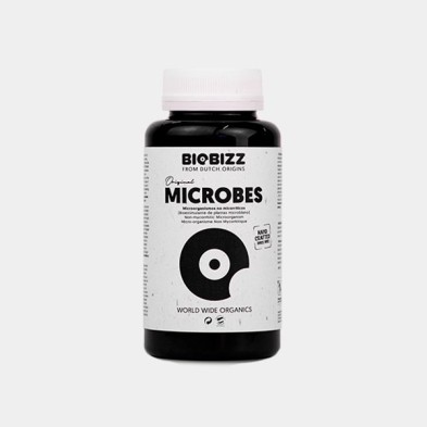 Microbes Microbes