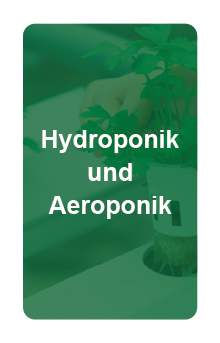 Hydroponik und Aeroponik