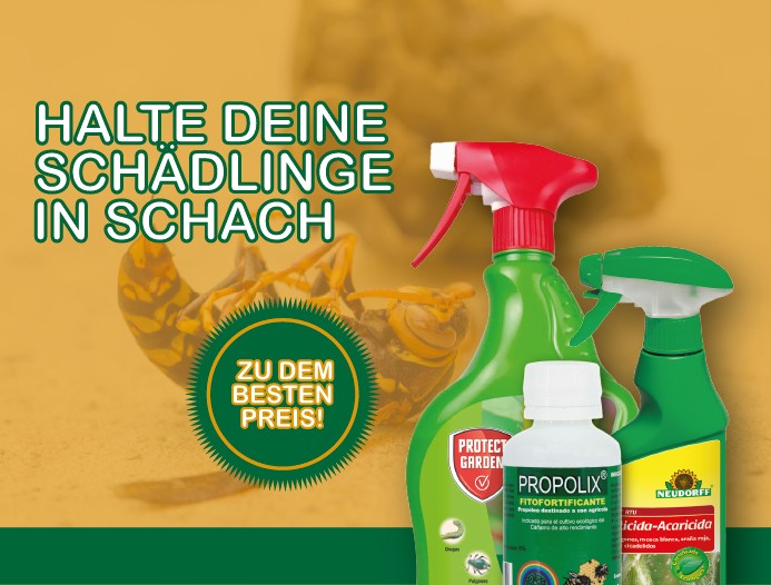 Insektizide